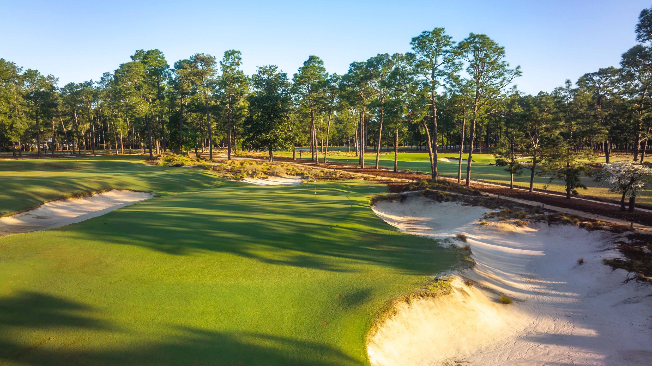 Pinehurst No. 2 — PJKoenig Golf Photography